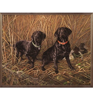 Sharing The Tradition Black Labs By Terry Doughty